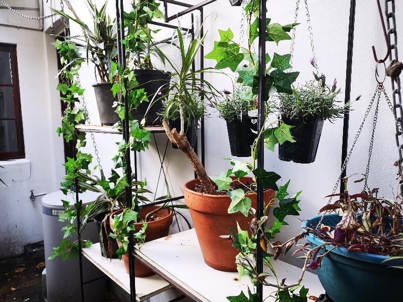 Newtown Cozy Stays Sydney Zewnętrze zdjęcie